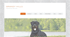 Desktop Screenshot of brandyhillsrockinrotts.com